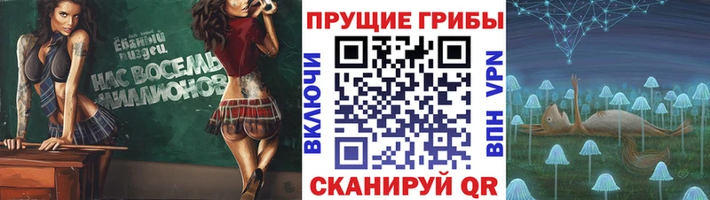 Галлюциногенные грибы GOLDEN TEACHER  что такое наркотик  блэк спрут ссылки  Котельниково 
